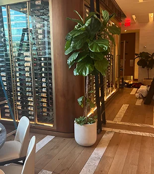 Trusted Clients logos