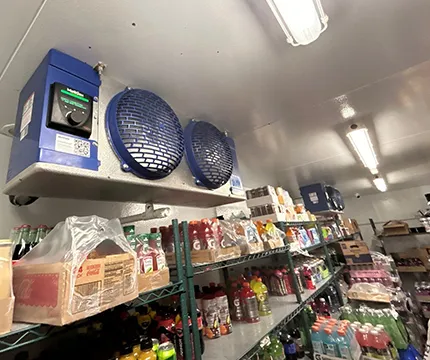 Expert inspecting a walk-in freezer to ensure reliable operation and efficiency.